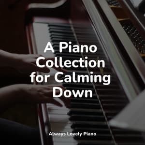 50 Therapeutic Piano Collection - Piano Masters