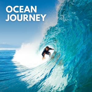 Ocean Journey - Naturalis