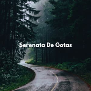 Serenata De Gotas - Sonidos de lluvia y sonidos de la naturaleza