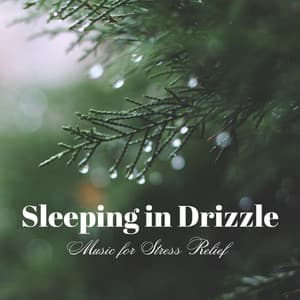 Sleeping in Drizzle: Music for Stress Relief - Stress Relief Helper