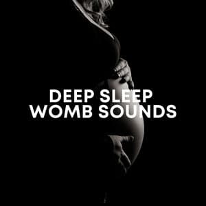 Deep Sleep Womb Sounds - Womb Sounds For Babies