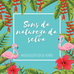 Sons da natureza da selva - Música exótica de verão, Ilha tropical - Academia Sons da Natureza