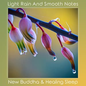Light Rain And Smooth Notes - Healing Sleep