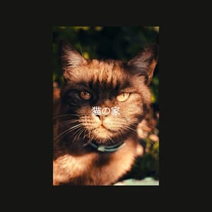 猫の家 - Cooking Music Fun