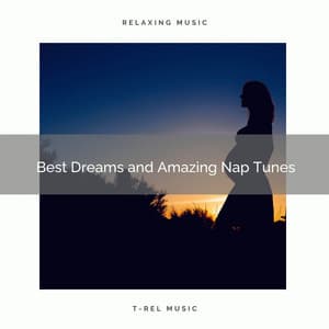 ! ! ! ! ! Best Dreams and Amazing Nap Tunes - Womb Sound