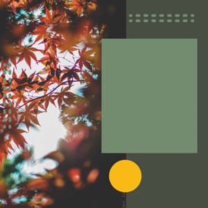 Music for Busy Weekdays - Studying Jazz