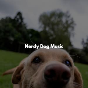 Nerdy Dog Music - Sunday Morning Jazz Lounge