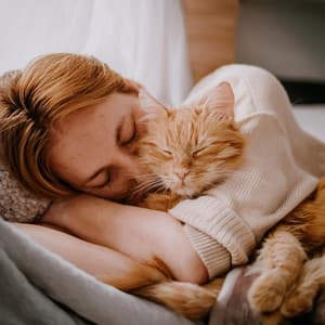 Canciones De Cuna Suaves Para Gatos En Noches De Descanso - Dualismo