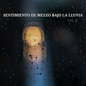 Sentimiento De Mezzo Bajo La Lluvia Vol. 2 - Sonido de lluvia