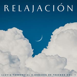 Relajación: Lluvia Torrencial Y Sonidos De Truenos Vol. 1 - Lluvia y Truenos