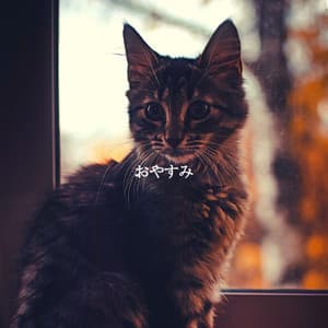 おやすみ - Light Jazz Coffee House