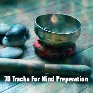 70 Tracks For Mind Preperation - Meditation Zen Master