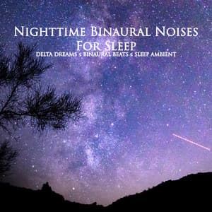 Nighttime Binaural Noises for Sleep - Binaural Beats Central