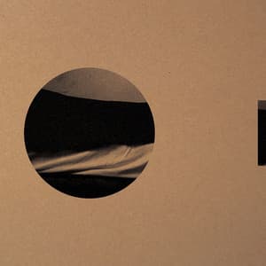 In Vivo - Gareth Davis