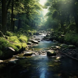 Study by the Stream: Gentle Water Ambience - Musica Relajante Specialistas
