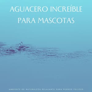 Aguacero Increíble Para Mascotas: Ambiente De Naturaleza Relajante Para Perros Felices - Grabación de lluvia