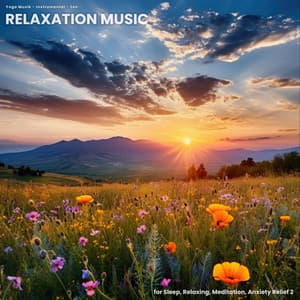 Relaxation Music for Sleep, Relaxing, Meditation, Anxiety Relief 2 - Yoga Musik