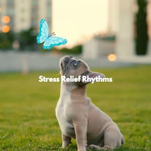 Stress Relief Rhythms - Dog Music
