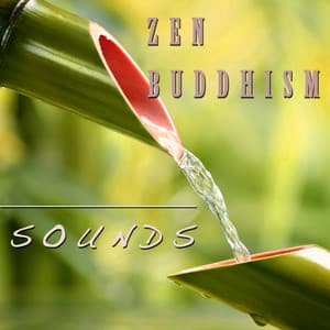 Zen Buddhism Sounds: Experience Peace and Relaxation - Musica Zen Guru