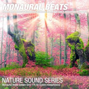 Monaural Beats Golden Sine 176 Hz - Binaural Beats