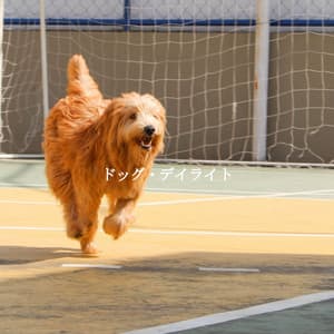 ドッグ・デイライト - Cool Cats 1940s Jazz