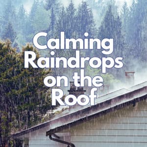 Calming Raindrops on the Roof - Nice Rain Noises