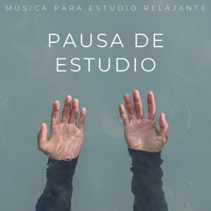 Pausa De Estudio: Música Para Estudio Relajante - Agradable Musica para Leer