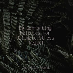 50 Comforting Melodies for Ultimate Stress Relief - Children's Music