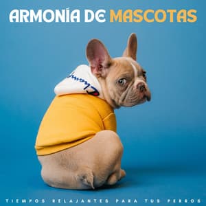 Armonía De Mascotas: Tiempos Relajantes Para Tus Perros - Tranquilidad Eterna