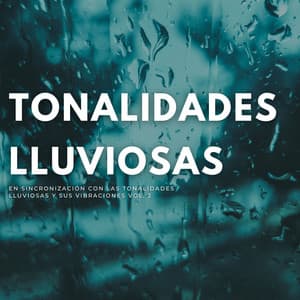 En Sincronización Con Las Tonalidades Lluviosas Y Sus Vibraciones Vol. 2 - Novela de piano