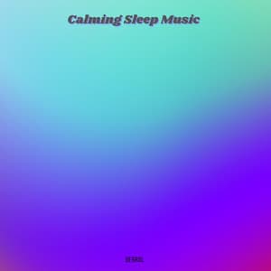 Calming Sleep Music - Derrol