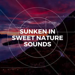 Sunken in Sweet Nature Sounds - Sons de la nature