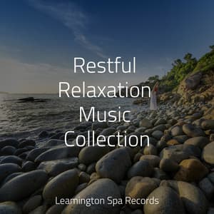 Restful Relaxation Music Collection - Rain Sounds & White Noise