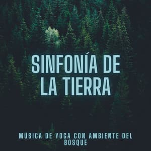 Sinfonía de la Tierra: Música de Yoga con Ambiente del Bosque - Naturaleza y selección de la selva tropical colectiva