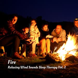 Fire: Relaxing Wind Sounds Sleep Therapy Vol. 2 - Music for Sleeping Ensemble