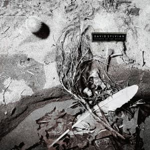 Secrets Of The Beehive - David Sylvian