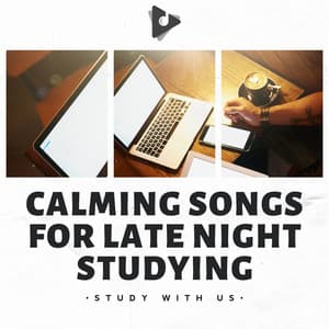 Calming Songs for Late Night Studying - Study With Us