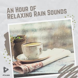 An Hour of Relaxing Rain Sounds - #Calming