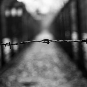 Voices - Michael Shapiro