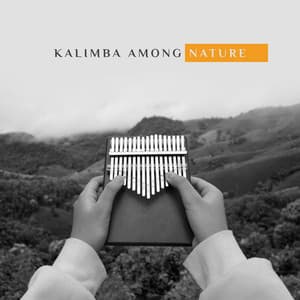 Kalimba Among Nature: Meditation and Calming, Spirit Relaxation, Beautiful Sounds, Water and Wind - Serenity Music Relaxation