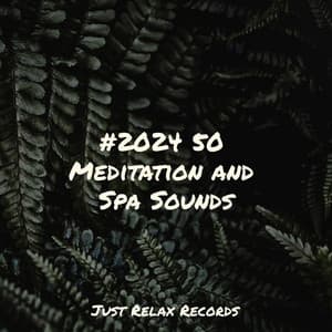 #2024 50 Meditation and Spa Sounds - Baby Lullaby