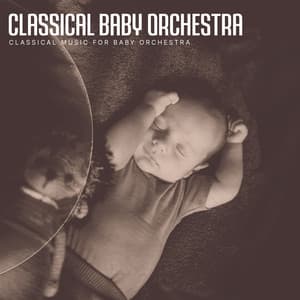 Classical Baby Orchestra - Classical Music for Baby Orchestra