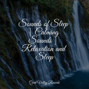 Sounds of Sleep | Calming Sounds | Relaxation and Sleep - Nature Soundscape