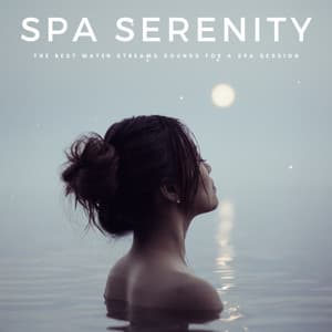 Spa Serenity: The Best Water Streams Sounds For A Spa Session - Water Sounds For Spa