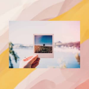 Music for Summer Work Modes - Jazz Guitar Solo - Morning Coffee Classics