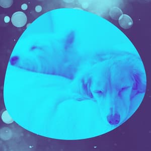 Ambiance for Sleepy Dogs - Sleeptime for Dogs