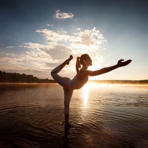 Orquesta Para Sesiones De Yoga: Movimientos Sonoros Suaves - Valborg Shamsuddin