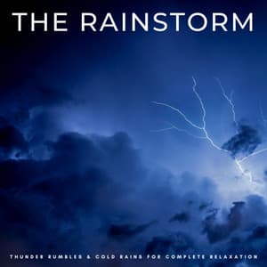 The Rainstorm: Thunder Rumbles & Cold Rains For Complete Relaxation - Amazon Jungle Sounds