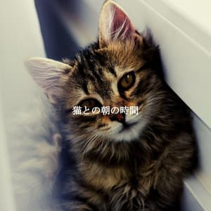 猫との朝の時間 - Romantic Jazz Music Lovers Club