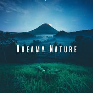 Dreamy Nature: Soothing Chill Sounds for Baby's Restful Journey - Northerly Nature